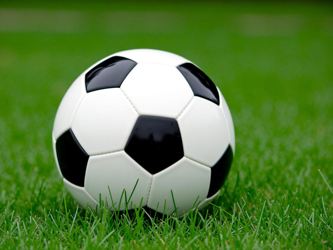 九游网页版入口-图卢兹加强转换进攻寻找得分突破口,图卢兹攻略 第3张